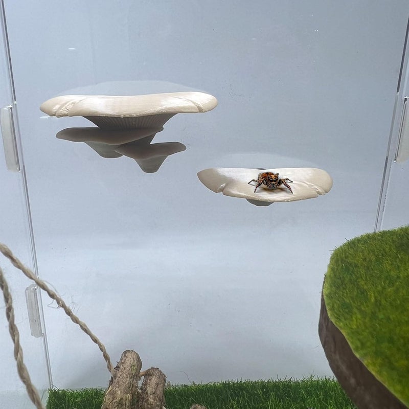 Daerky Jumping Spider Mushroom Shelf, Magnetically Concealed Jumping Spider Habitat,Serves As Enclosure Decorate Accessories for Spider Climbing Feeding and Platforms (Simulated wood) - Image 5